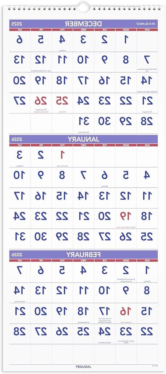 AT-A-GLANCE 2026 Wall Calendar, 30.5 cm x 68.5 cm, Large, Vertical Reference for 3 Months (PM112826)