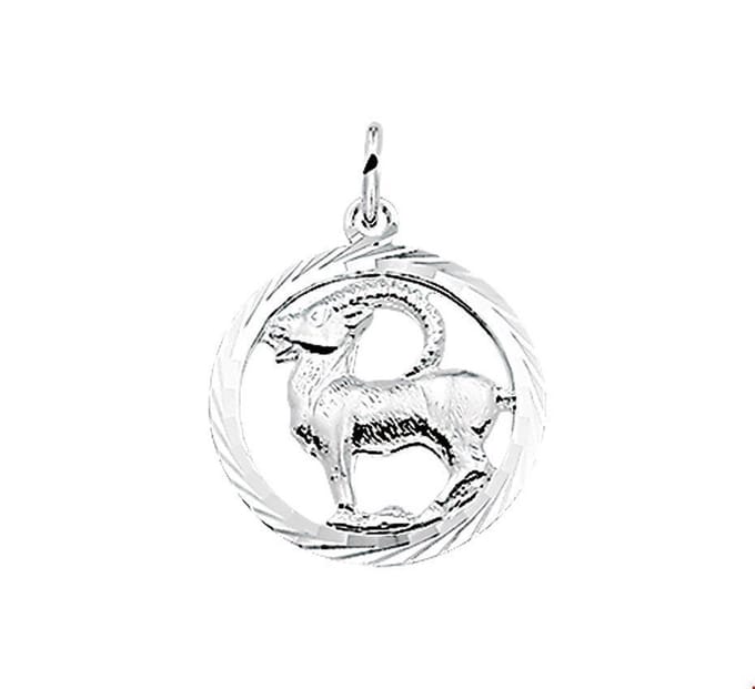 Hanger sterrenbeeld steenbok gediamanteerd - PSN1002787