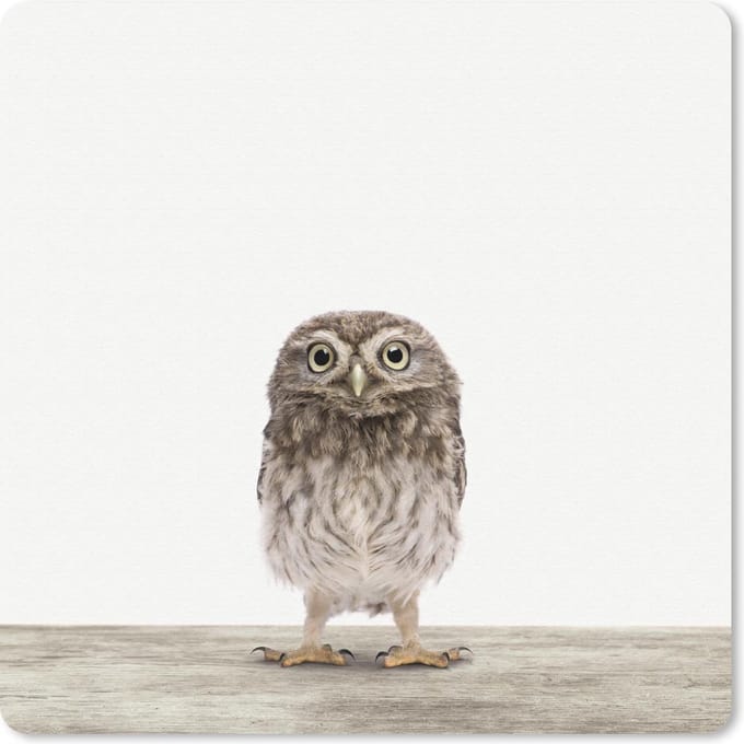 Muismat 20x20 cm - Mousepad Dieren - Wit - Uil - Muismatten