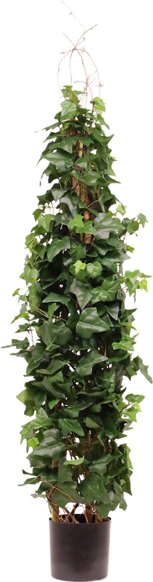 Kunst Hedera Klimplant Deluxe 130cm