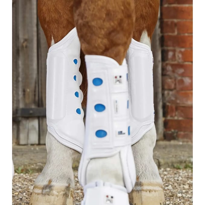 Achterlaarzen voor paarden Premier Equine Air Cooled Original Eventing
