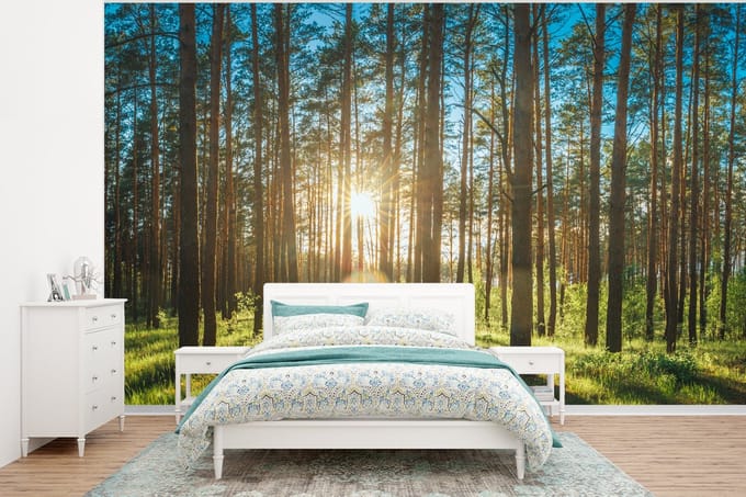 Behang - Fotobehang Zon - Bomen - Landschap - Gras - Breedte 375 cm x hoogte 280 cm