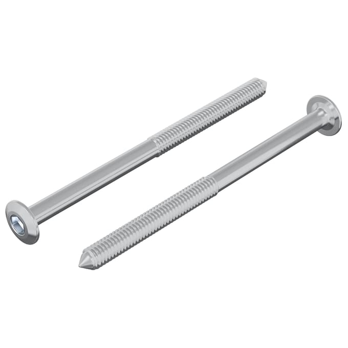 vidaXL Schroef 2 pcs Zilver M6 x 85 mm Staal
