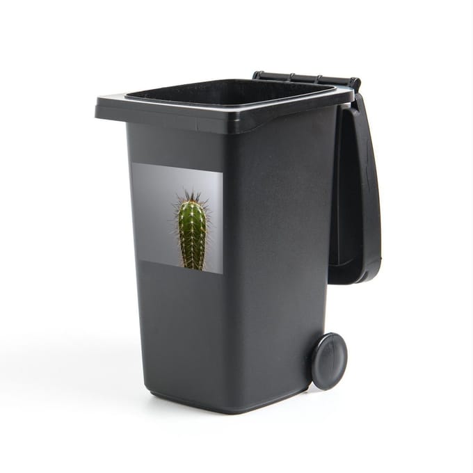 Container sticker Cactus - Cactus botanische print - 40x40 cm - kliko sticker - weerbestendige containersticker