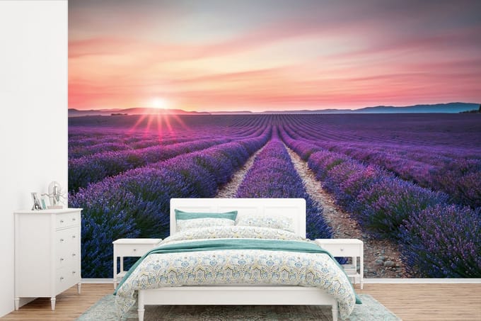 Behang - Fotobehang Lavendel - Paars - Bloemen - Breedte 360 cm x hoogte 240 cm