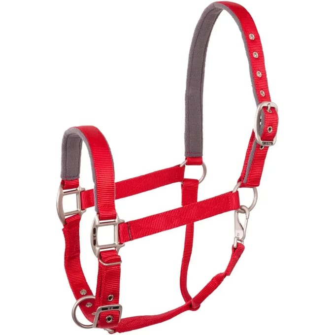 Halster voor paarden BR Equitation Event