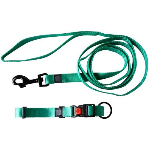 Karlie Halsband met lijn (Mint)