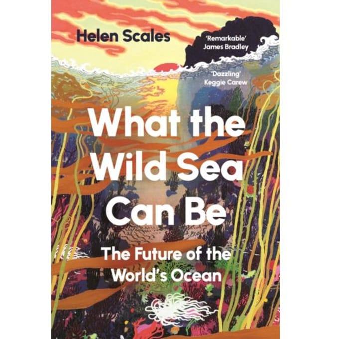 What The Wild Sea Can Be - Helen Scales