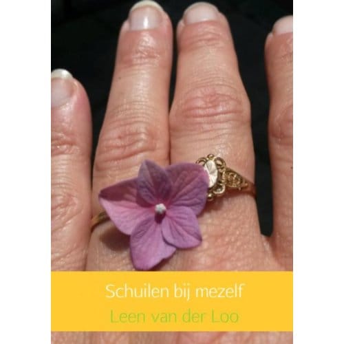 Schuilen Bij Mezelf - Leen van der Loo