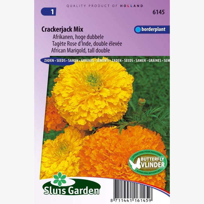 Sluis Garden - Afrikaan hoog Crackerjack Mix