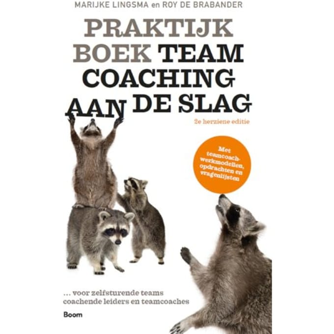 Praktijkboek Teamcoaching, Aan De Slag - Marijke Lingsma
