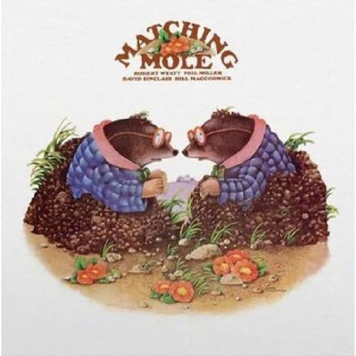 Matching Mole - Matching Mole