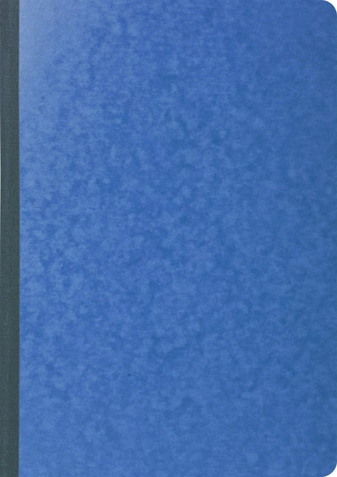 Exacompta Register 29,7x21 cm - geruit 5x5 - genummerd - 80 blad - Geassorteerd - 410E