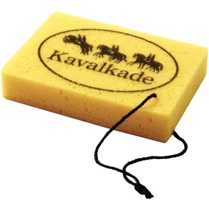 schoenpoetsspons Kavalkade
