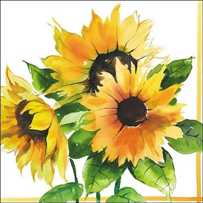 Lunch Servetten - Girasoli