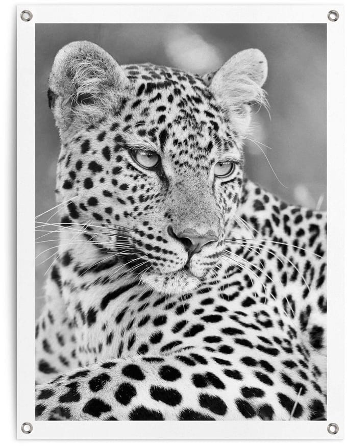 Tuinposter Luipaard - 80 x 60 - Canvas - REINDERS