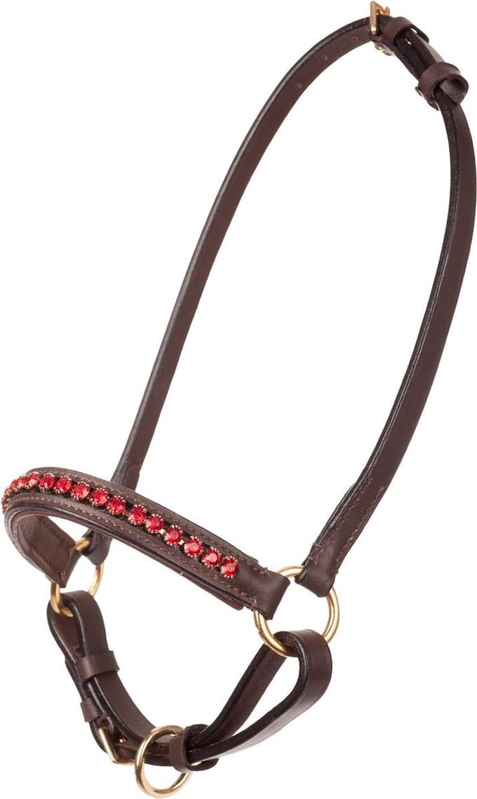 MHS Showhalster Mon Cherie Bruin/Rood mini veulen (mt 1)