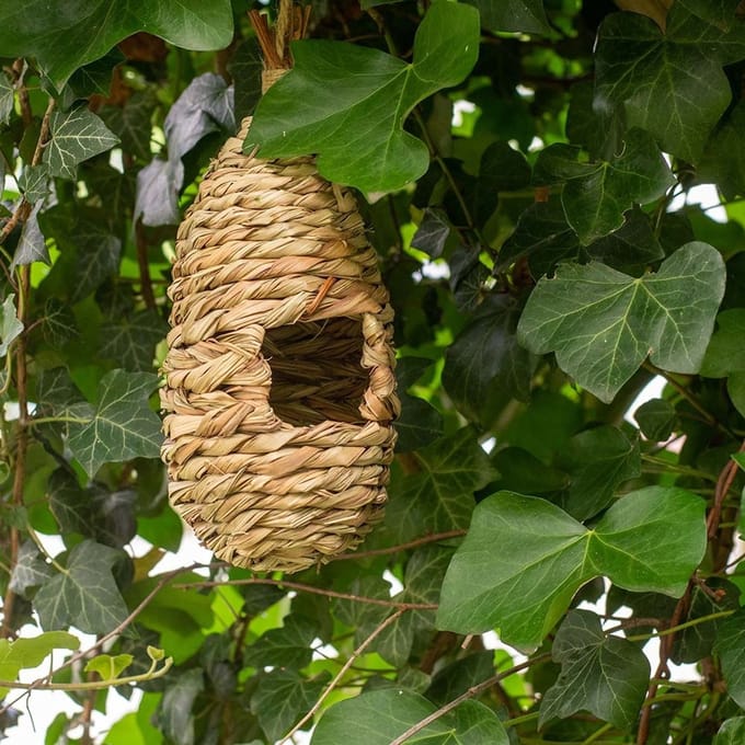 CJ Wildlife - Loungenest halfopen - Rotan - Vogelhuisje