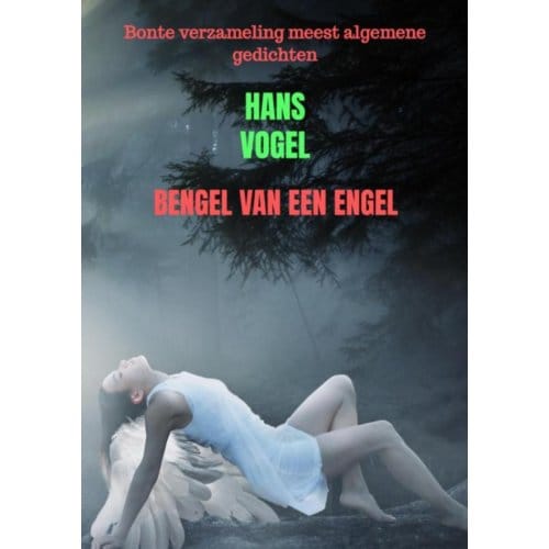 Bengel Van Een Engel - Hans Vogel