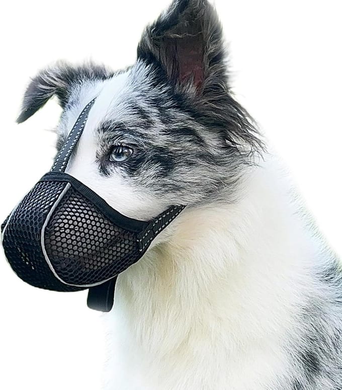 Large Dog Muzzle Prevent Chewing/Eating/Biting, Breathable, Reflective, Adjustable, for Medium Dogs (Black, L)