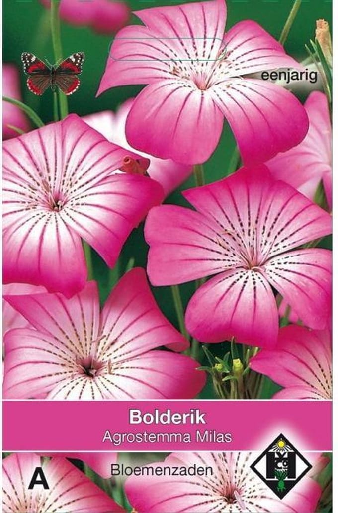 Van Hemert & Co - Bolderik Milas (Agrostemma githago)