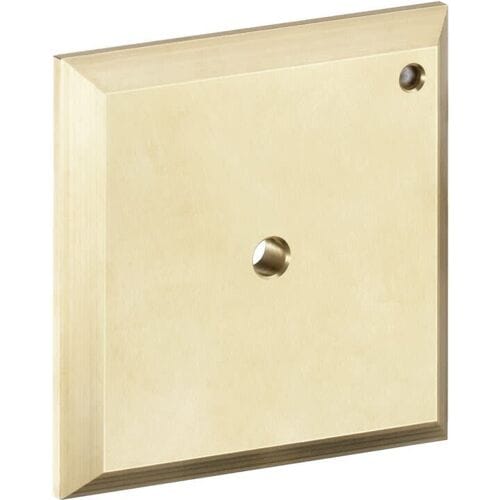 Hansgrohe iControl flush plate