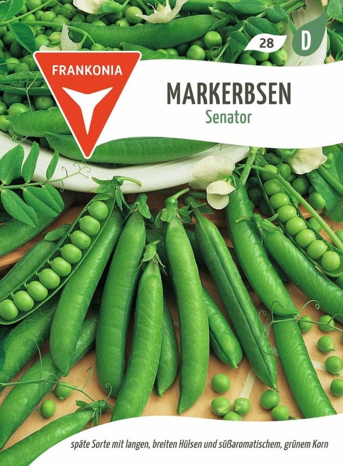 Tuinerwt, Senator - Groentezaden, zaden