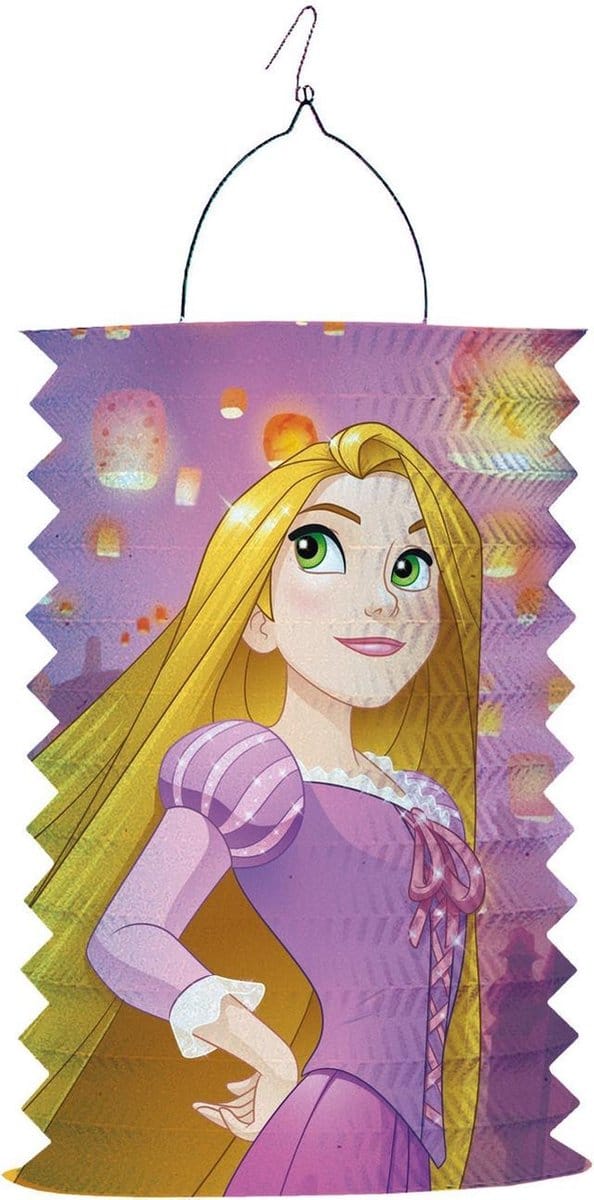 Amscan Lampion Disney Princess 28 Cm Roze