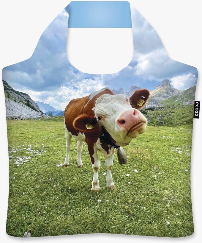 Ecozz tas - Moo..... - met rits - 46x41 cm