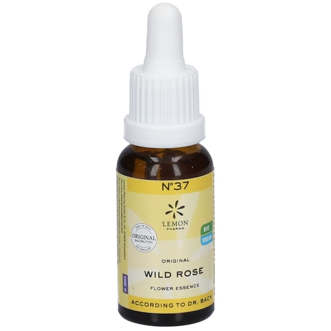 Bach Bloesem Bio N°37 Wild Rose 20 Druppels