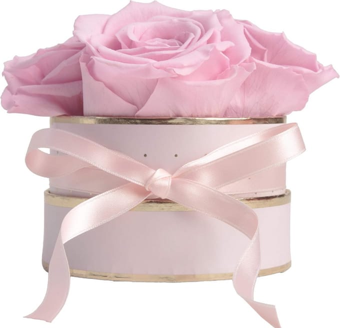 Luxe Rozenbox met 4 Infinity Rozen - Cadeau voor Vrouwen en Moeder - 3 Jaar Houdbaar