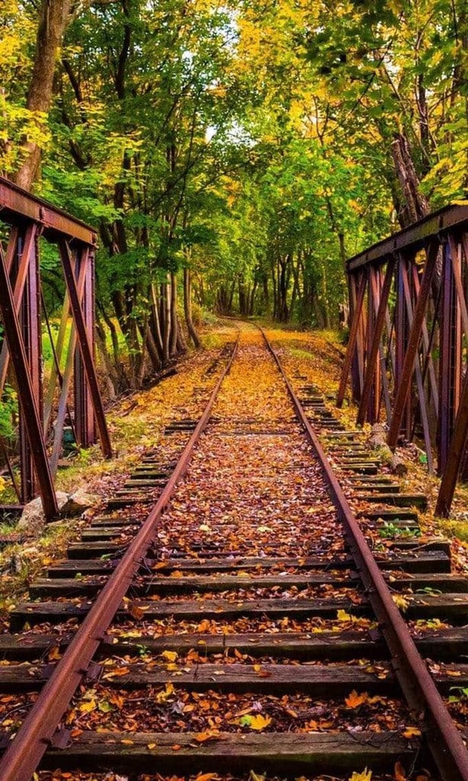 Fotobehang - Railroad 150x250cm - Vliesbehang