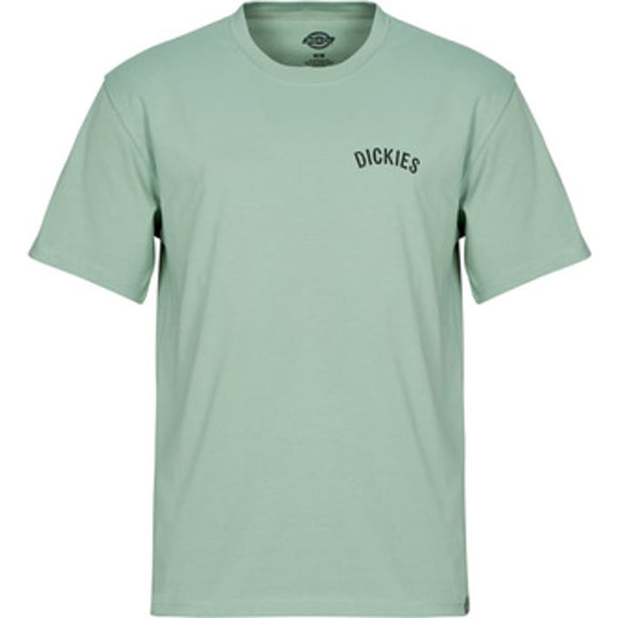 T-shirt Korte Mouw Dickies DICKIES SNAKE SS TEE