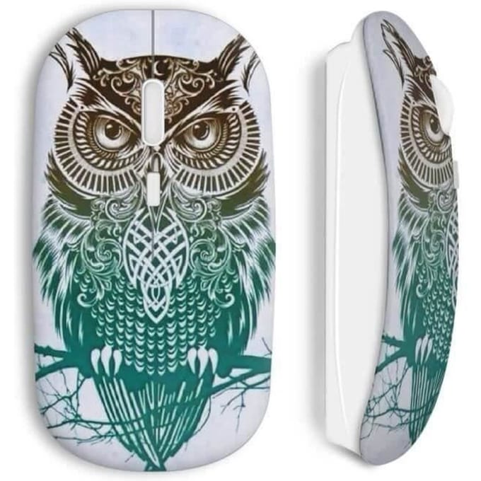 Souris sans Fil Hiboux design