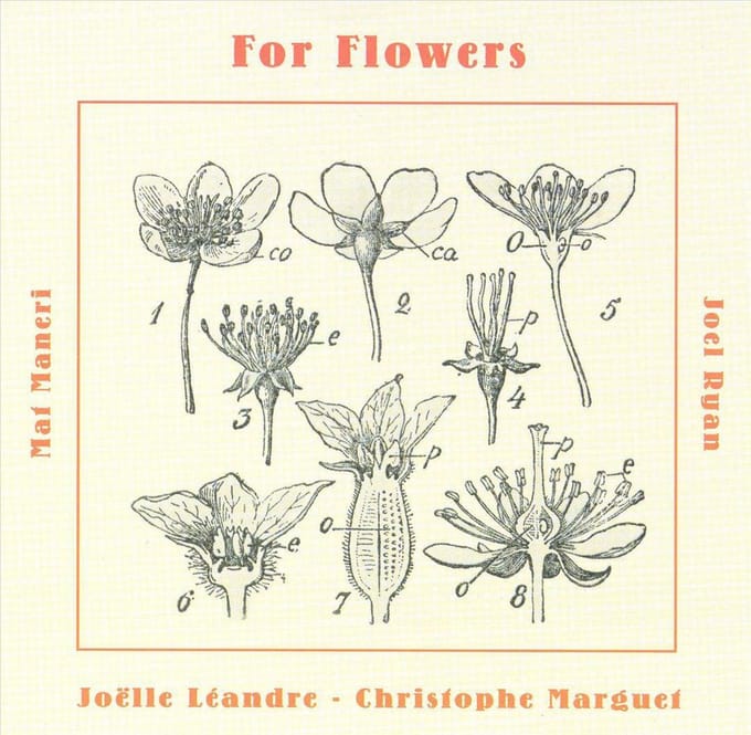 For Flowers
