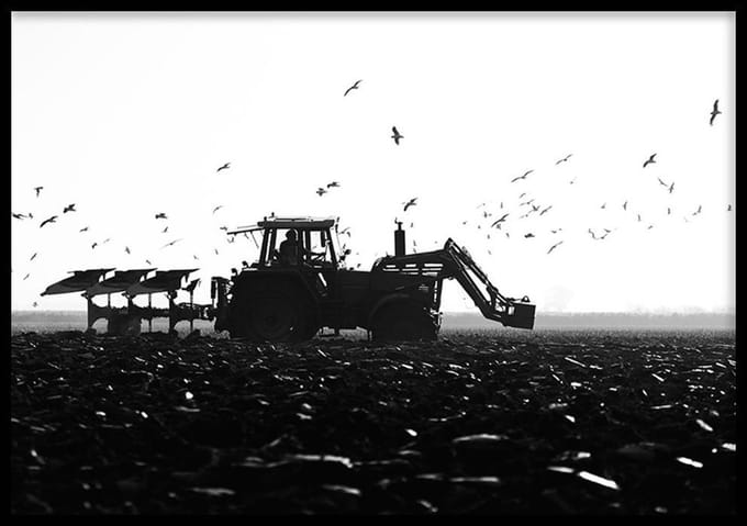 Poster Traktor Met Vogels - 30x40 cm - Natuur Poster - WALLLL