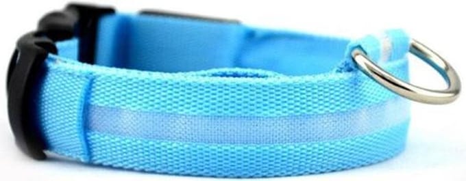 Hondenriem - Lichtgevend - Blauw - L
