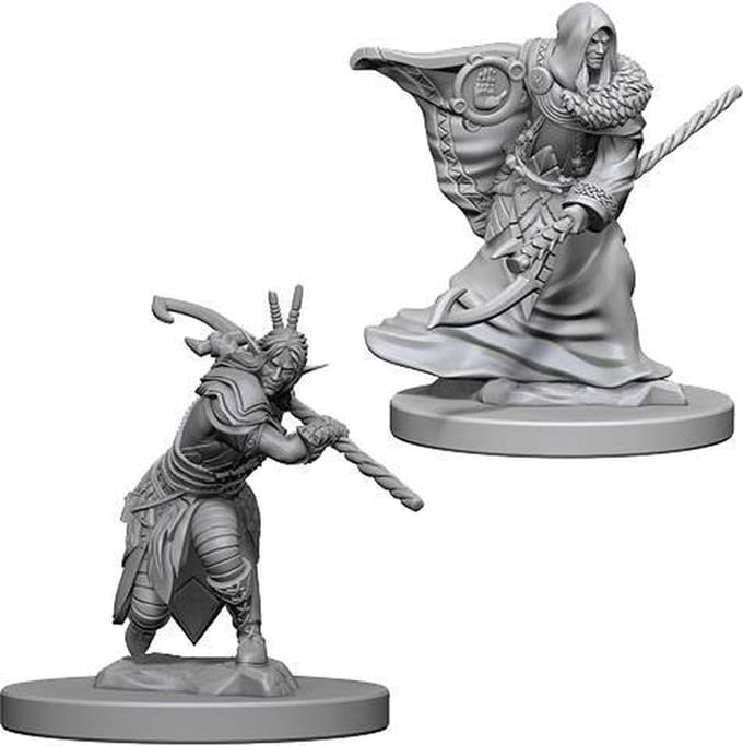 Asmodee D&D Miniatures Elf Male Druid - EN