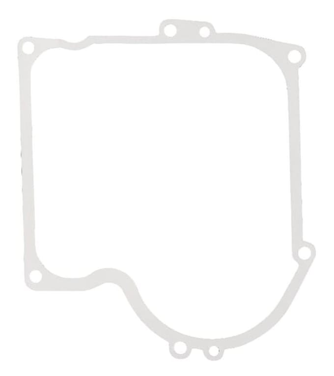 Briggs & stratton carterpakking