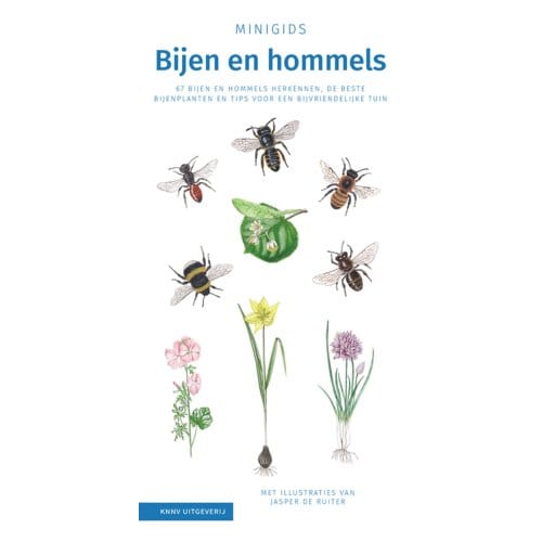 Bijen En Hommels Set 3 Ex - Minigids - Maureen Kemperink