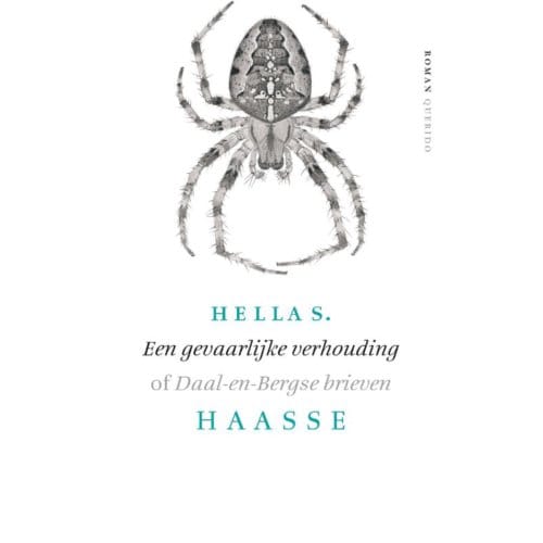 Een Gevaarlijke Verhouding - Hella S. Haasse