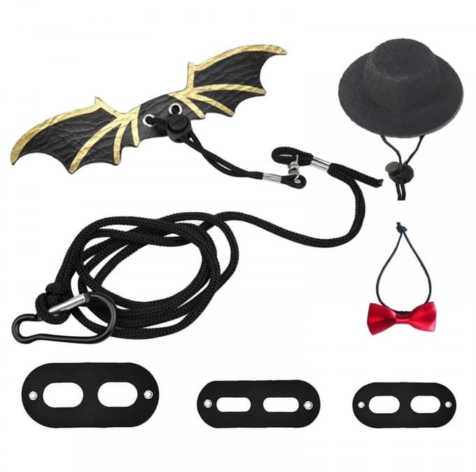 Dailygoods- Harnas Verstelbaar - Harnas Hond - Harnas Kat - Harnas