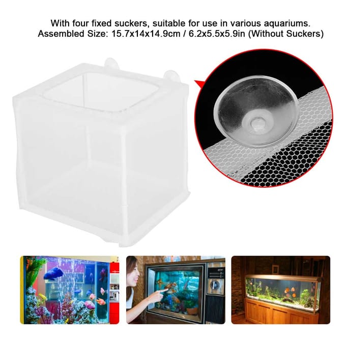 Aquarium Aquarium réservoirs boîte d'élevage petits poissons Isolation incubateur Aquariums accessoire white