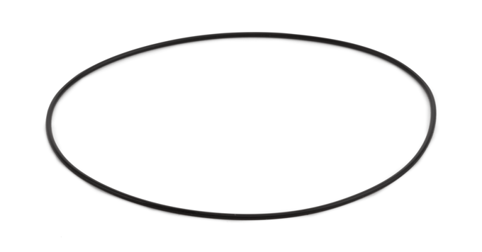 O-ring