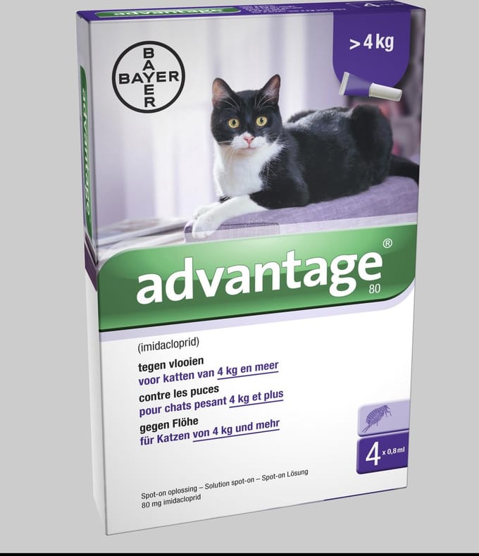 Advantage 80 Kat 4-8 kg 4 pipetten