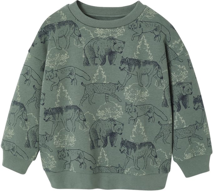 Vertbaudet Sweater met print voor jongens