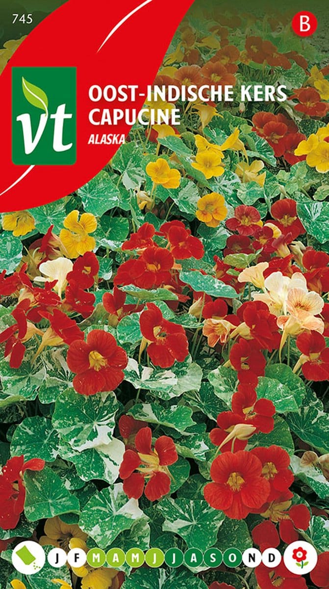 Oost-Indische Kers 'Alaska' Zaden - Witte Bloemen met Groenbonte Bladeren