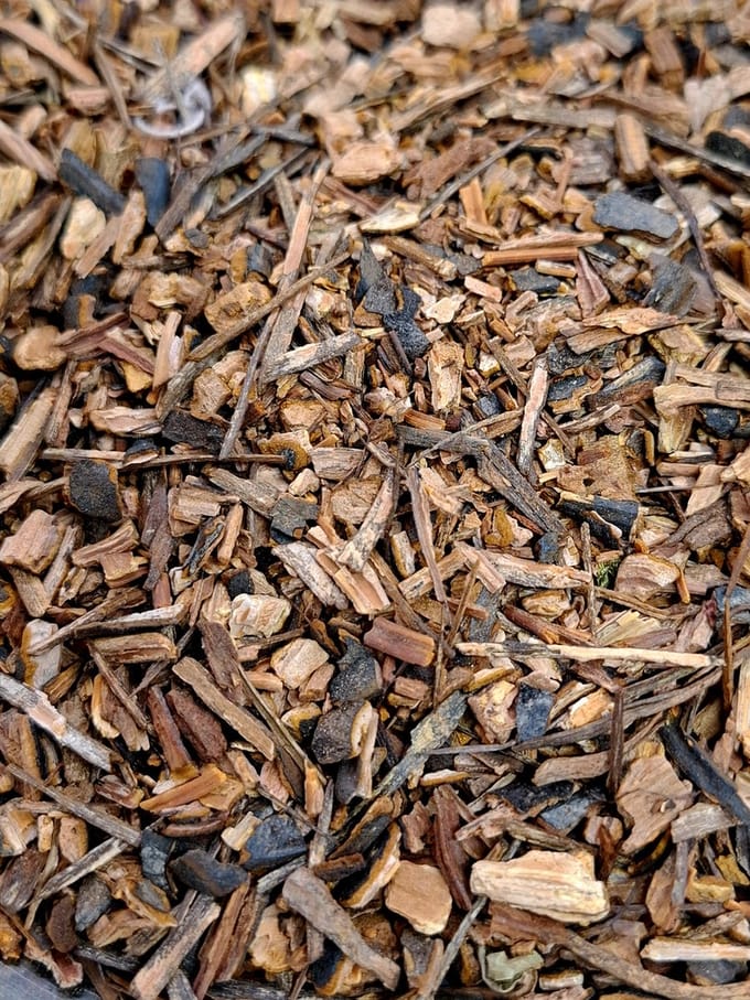 Sarsaparilla (Smilax aspera)100g