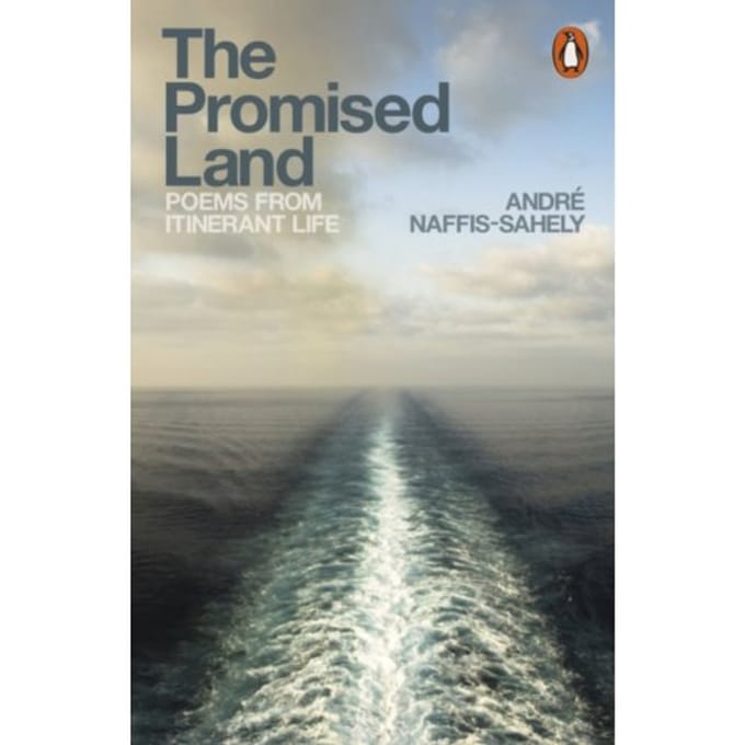 The Promised Land - Andre Naffis-Sahely
