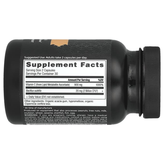 Ancient Nutrition, Vitamine C et Probiotique, 60 Gélules